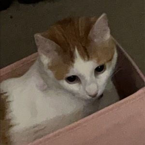 Meet your Posher, Braidyn